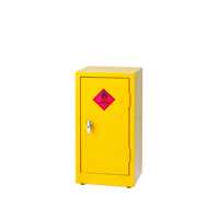HAZARDOUS STORE CABINET 28IN C/W 1 SHELF