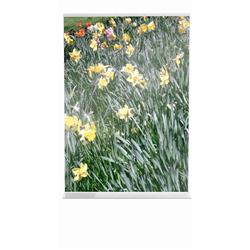 STAND UP SIGNHOLDER A4 DBLE PORTRAIT CLR STAND UP SIGNHOLDER A4 DBLE PORTRAIT CLR