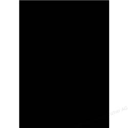 GBC POLYCOVER BLACK IB386831 PK100