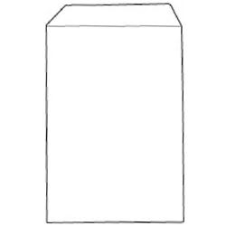5 STAR VALUE ENV C4 PKT 90G WHT PK250 5 STAR VALUE ENV C4 PKT 90G WHT PK250
